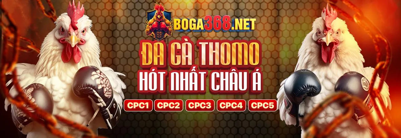 Hình ảnh chính KU888 Casino trực tuyến